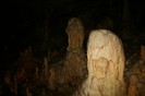 IMG_0839