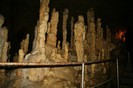 IMG_0889