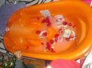 DSC07446