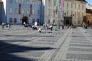 DSC_4186