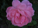 DSCF2265