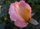 DSCF2280