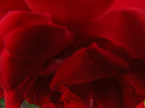 DSCF2315