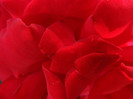 DSCF2374