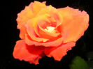 DSCF2787