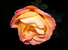DSCF2792
