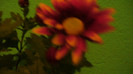 P1050328