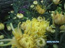 SANY0508