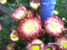 SANY0510