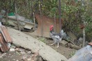 28.oct.2012