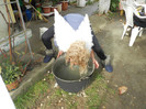 DSCN2093