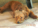 DSCN0261
