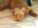 DSCN0262