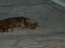 DSCN0274