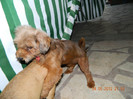 DSCN0277
