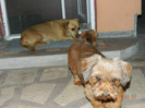 DSCN0278