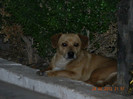 DSCN0287