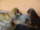 DSCN0196
