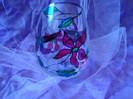 DSC05909