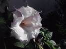 P181012_01.14_[07]
