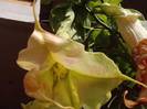 P201012_04.20