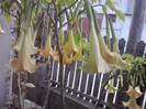 P211012_23.10_[02]