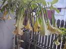 P211012_23.10_[03]