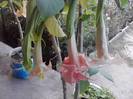 P211012_23.10_[04]