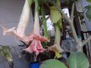 P211012_23.10_[05]