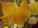 P231012_03.21_[01]