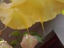 P231012_03.21_[02]