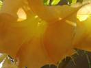 P231012_03.21_[03]