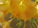 P231012_03.21_[04]