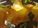 P231012_03.21_[05]