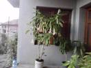 P231012_07.39_[01]