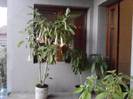 P231012_07.39_[02]