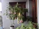P231012_07.40_[01]