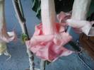 P231012_07.40_[03]