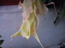 P231012_07.42