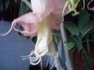 P231012_07.42_[01]