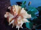 P231012_22.29_[01]