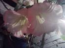 P241012_06.42_[01]