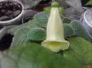 P241012_23.57_[01]