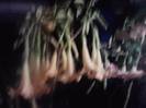 P251012_06.48_[02]