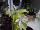 P261012_23.42_[01]