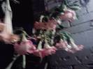 P261012_23.45_[02]