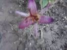 P251012_06.13_[01]