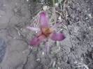 P251012_06.13_[02]