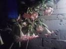 P251012_06.48