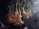 P251012_06.48_[01]